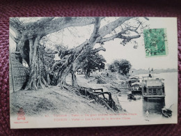 Delcampe - Tonkin ,  Viétri , Grand Banian , Arbre Remarquable - Vietnam