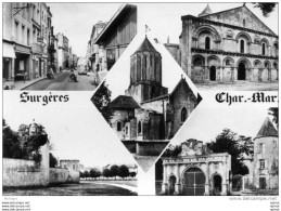 Delcampe - 17  CPM   SURGERES MULTIVUE    TB ETAT - Surgères