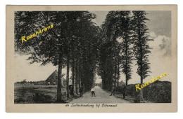 Delcampe - De Luttestraatweg Bij Oldenzaal Overijssel Nederland Ansichtkaart Geanimeerd ZELDZAAM - Otros & Sin Clasificación