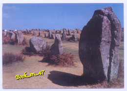 Delcampe - {96214} 56 Morbihan Carnac, Menhirs Du Ménec - Carnac