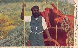 Delcampe - Australia - Type Of Australian Aboriginal In The Reserve - Publ. Unknown - Aborigines