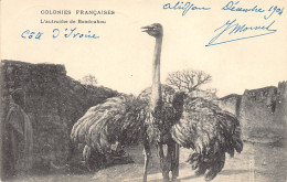 Delcampe - Côte D'Ivoire - L'autruche De Bondoukou - Ed. Inconnu - Elfenbeinküste