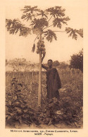 Delcampe - Nigeria - Papaya Tree - Publ. African Missions Of Lyon (France) - Nigeria
