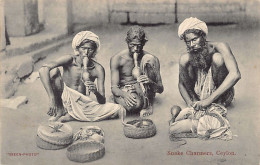Delcampe - SRI LANKA - Snake Charmers - Publ. Skeen-Photo - Sri Lanka (Ceylon)