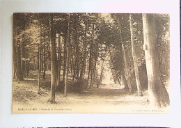 Delcampe - ► (78) MARLY LE ROI - Allée De La Comédie (Parc) - Marly Le Roi