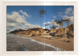 Delcampe - AK 251446 GERMANY - Darßer Weststrand - Fischland/Darss