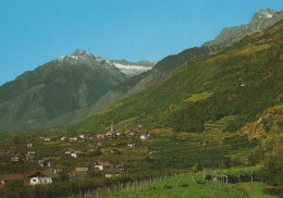 Delcampe - CARTOLINA  LAGUNDO M. 400 BOLZANO TRENTINO ALTO ADIGE VERSO CIMA DI TEL E GIGOT NON VIAGGIATA  X59 - Seefeld
