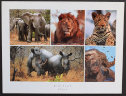 Delcampe - Sudáfrica  Big Five Elefante León Leopardo Rinoceronte Búfalo - Südafrika
