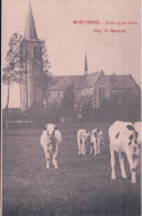 Delcampe - Wuestwezel Zicht Op De Kerk - Wuustwezel
