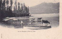 Delcampe - Toul - Place Du Marché - Le Bourget Du Lac