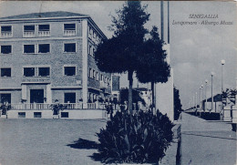 Delcampe - # SENIGALLIA: LUNGOMARE - ALBERGO MASSI - Ancona