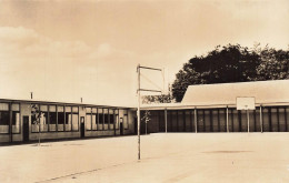 Delcampe - [-15%] BELGIQUE - St Kwintens Lennik - Rijksmiddelbare School - Terrain De Basket - Uitgever EDW - Carte Postale Ancienn - Lennik