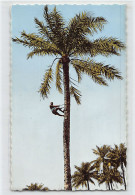 Delcampe - Guinée Conakry - Montée Au Cocotier - Ed. C.O.G.E.X. 2702 - Guinea