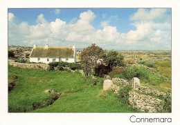 Delcampe - [-10%] IRLANDE - Connemara - Western Portion - Co Galway - Gaeltacht - Irish Speaking Area - Insight Cards Ltd - Carte P - Galway