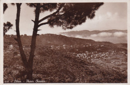 Delcampe - LEBANON POST CARD - LIBAN - DHOUR CHOUEIR 1938 - B 8 - Libanon
