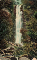 Delcampe - [-20%] AUSTRALIE - Victoria - Erskine Falls - Lorne - Colorisé - Carte Postale Ancienne - Sonstige & Ohne Zuordnung