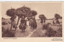 Delcampe - # S. ROSSORE: I BOSCAIOLI Dis. F. Gioli  - 1936 - Pisa