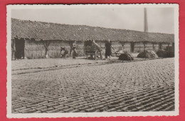 Delcampe - Boom - Steenbakkerij - Droogplaats Van Den Hand-steen - 1963 ( Verso Zien ) - Boom