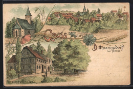 Delcampe - Lithographie Dittmannsdorf Bei Borna, Gasthof, Kirche, Ortsansicht - Borna