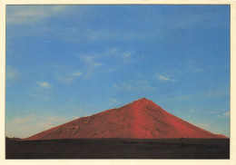 Delcampe - [-15%] ESPAGNE - Islas Canarias - Vue Densemble - Colorisé - Carte Postale - Sonstige & Ohne Zuordnung