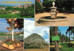 Delcampe - [-5%] FRANCE - Le Chambon Sur Lignon - Fontaine - Place - Golf - Rocher - Animé - Edit Cellard - Carte Postale - Le Chambon-sur-Lignon