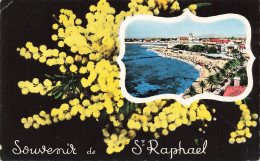 Delcampe - [-15%] FRANCE - Saint Raphaël - Souvenir De Saint Raphaël - Carte Postale - Saint-Raphaël