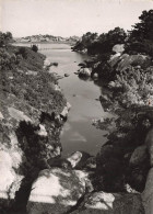 Delcampe - [-15%] FRANCE - Ploumanach - La Vallée Des Traouiëros - Edit STOLL - Oblit 1950 - Carte Postale - Ploumanac'h