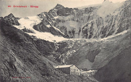 Delcampe - Schweiz - GRINDELWALD (BE) Bäregg - Schutzhütte - Verlag Photo Und Karten Centrale 665 - Grindelwald