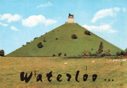 Delcampe - [-25%] BELGIQUE - Waterloo - La Butte Et Le Lion - Carte Postale - Waterloo