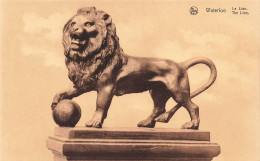 Delcampe - [-25%] BELGIQUE - Waterloo - Le Lion - Carte Postale Ancienne - Waterloo