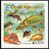 Delcampe - Czech Republic - EUROPA: Aquatic Fauna And Flora, Stamp, MNH, 2024 - Ongebruikt