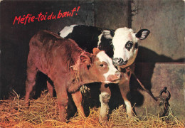 Delcampe - [-25%] ANIMAUX & FAUNE - Vaches - Méfie Toi Du Boeuf - Deux Veaux Dans Une étable - Carte Postale Ancienne - Kühe