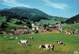 Delcampe - [-25%] ANIMAUX & FAUNE - Vaches - Pâturage Des Monts Jura - Des Vaches En Train De Manger - Carte Postale Ancienne - Kühe