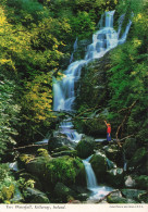 Delcampe - [-5%] IRLANDE - Killarney - Torc Waterfall - Animé - Chute De Torc - Forêts - Rochers - Végétation - Femme - Carte Posta - Other & Unclassified