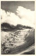 Delcampe - [-20%] BELGIQUE - Wenduine - Dans Les Dunes - Carte Postale - Wenduine
