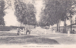 Delcampe - LUCCA - Le Mura - Baluardo E Cortina S.Donato - Lucca