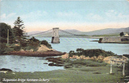Delcampe - [-15%] CPA Irlande - Suspension Bridge Kenmare Co. Kerry - Lawrence Publisher Dublin - Colorisée - Paysage - Pont - Autres & Non Classés