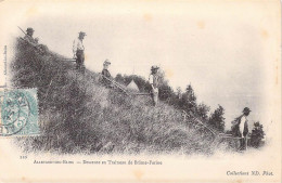 Delcampe - [-15%] CPA France - Isère - Allevard Les Bains - Descente En Traineau De Brâme Farine - Collection N. D. Phot. - Oblitér - Allevard