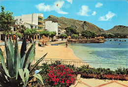 Delcampe - Mallorca Puerto Pollensa Vista Parcial - Mallorca