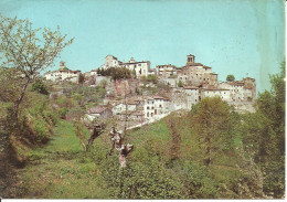 Delcampe - Anghiari (Arezzo) Panorama Castello Antico, Ancient Castle Landscape, Vue Du Chateau Antique - Arezzo