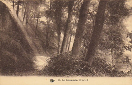 Delcampe - LE LIMOUSIN ILLUSTRE CARTE N° 11 UN SOUS BOIS - Limousin