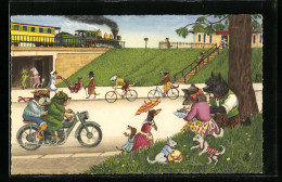 Delcampe - AK Hunde Auf Dem Motorrad Und Fahrrad - Motorräder