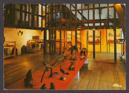 Delcampe - 070104/ SAINT-HUBERT, Musée Du Fourneau Saint-Michel, Salle Des Expositions - Saint-Hubert