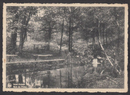 Delcampe - 081164/ SAINT-HUBERT, Bois Du Prieur - Saint-Hubert