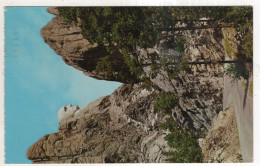 Delcampe - AK 252941 USA - Black Hills - Face Of George Wasshington - Mount Rushmore