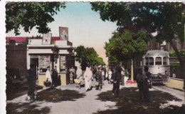 Delcampe - - 34 - BLIDA -  Gare De La Micheline Et Le Kiosque - Petit Format, Non écrite, Belle Animation, Glacée,  TBE, Scans. - Blida