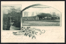 Delcampe - AK Ahrbeck B. Burgdorf, Restaurant Und Gartenwirtschaft Heinrich Haase, Mit Pavillon - Burgdorf