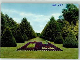 Delcampe - 39710186 - Celle - Celle