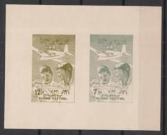 Delcampe - SYRIE - 1958 - Block N° V28 à V29 - 1 Luxus Sheetlet - Gliding - Neuf Luxe ** / MNH / Postfrisch - Syrien