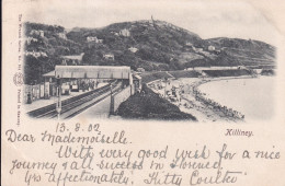 Delcampe - IRLANDE(KILLINEY) GARE - Dublin